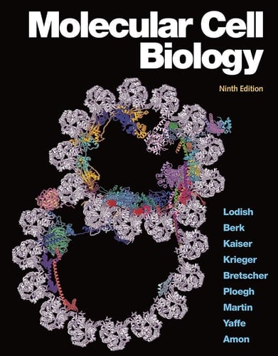 Molecular Cell Biology
