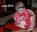 Lara 2014