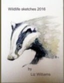Wildlife Sketches 2016