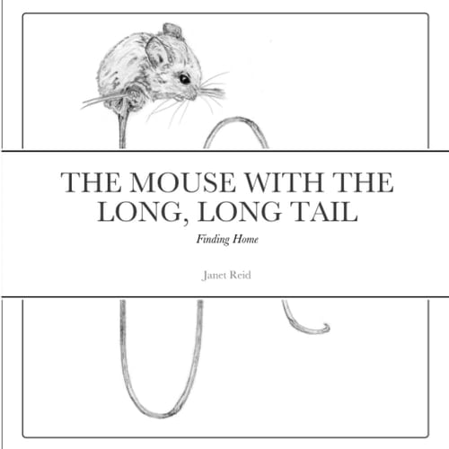 The Mouse with the Long, Long Tail Finding Home