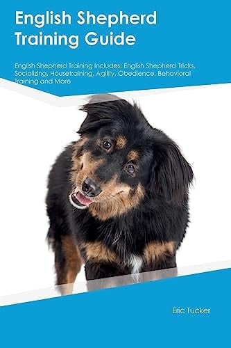 English Shepherd Training Guide English Shepherd Training Includes English Shepherd Tricks, Socializing, Housetraining, Agility, Obedience, Behavioral Training, and More