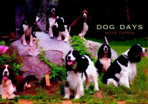 Dog Days Large Note Cards in a Magnetic-Closure Box (Potter Style)