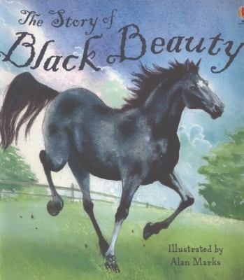 The Story Of Black Beauty