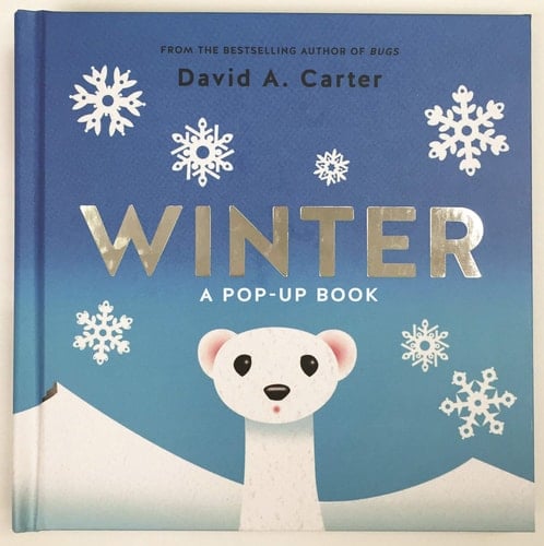 Winter A Pop-up Book