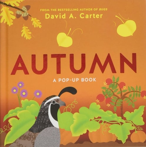 Autumn A Pop-Up Book