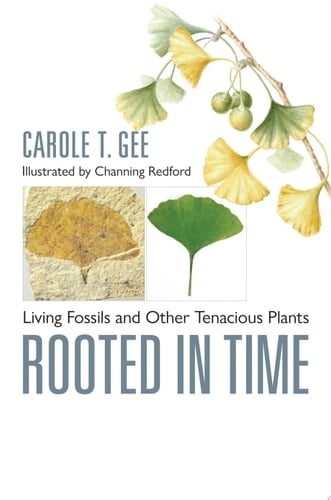 Rooted in Time Living Fossils and Other Tenacious Plants