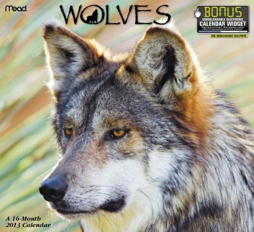 2013 Wolves Wall  Calendar