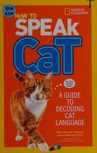 How to Speak Cat A Guide to Decoding Cat Language