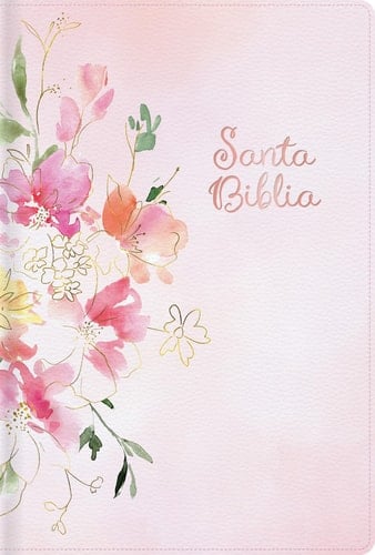 Rvr 1960 Biblia Letra Grande Tamaño Manual Edición Especial, Rosa Símil Piel Santa Biblia