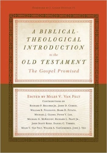 A biblical-theological introduction to the old testament