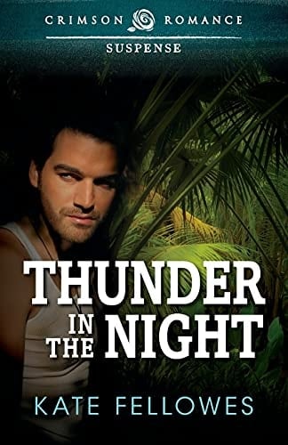 Thunder In The Night