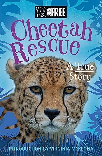 Born Free Cheetah Rescue