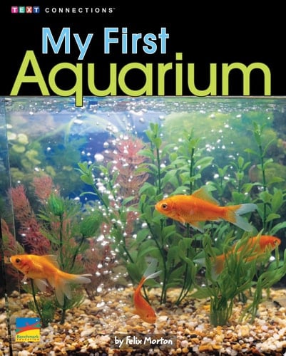 My First Aquarium