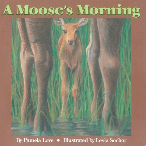A Moose's Morning