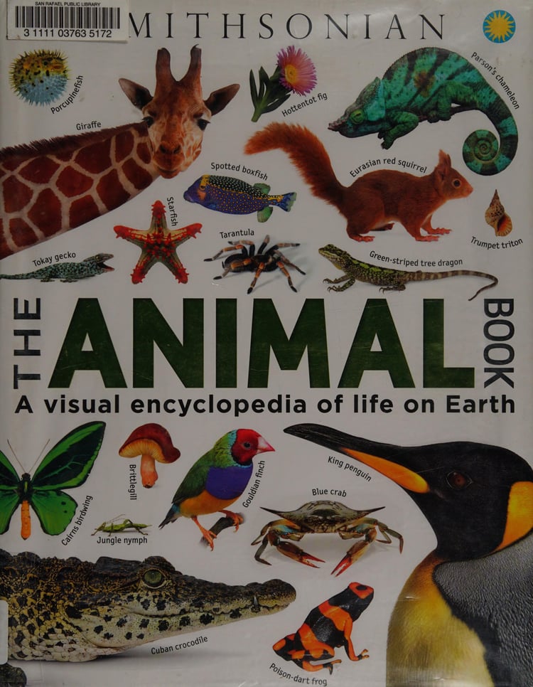 The Animal Book A Visual Encyclopedia of Life on Earth