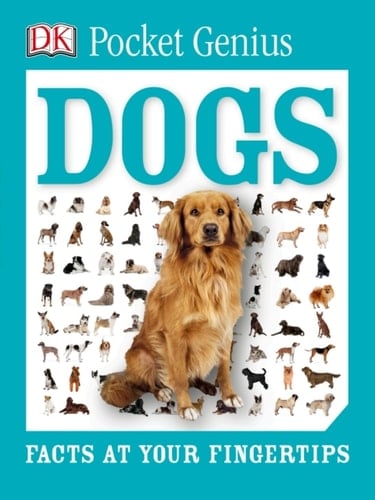 Dogs