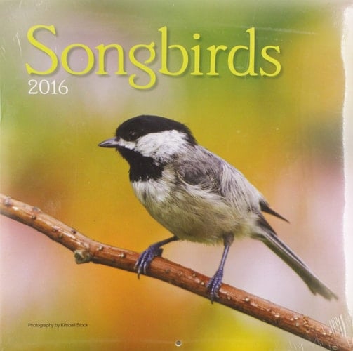 Songbirds 2016 Calendar