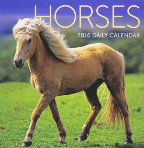 Horses 2016 Calendar