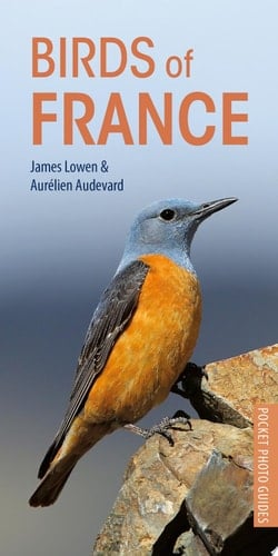 Birds of France