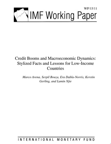 Credit Booms and Macroeconomic Dynamics Stylized Facts and Lessons for Low-Income Countries