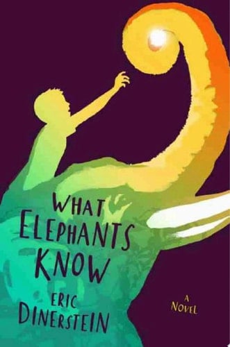 What Elephants Know A Novel