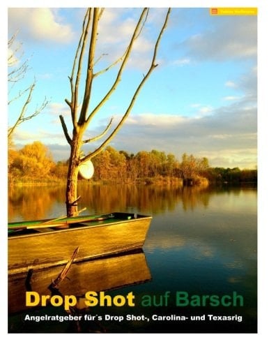 Drop Shot auf Barsch Angelratgeber für ́s Drop Shot-, Carolina- und Texasrig