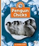 Penguin Chicks