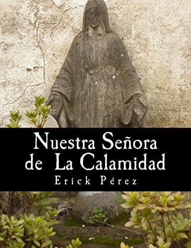 Nuestra Señora de la Calamidad