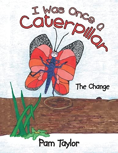 I Was Once A Caterpillar The Change