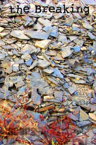 The Breaking Down in the Dirt Magazine V134 (January/February 2016)