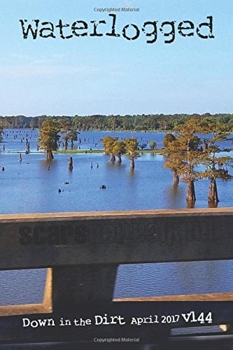 Waterlogged Down in the Dirt Magazine V144 (April 2017)