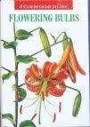 Flowering Bulbs