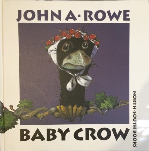Baby Crow