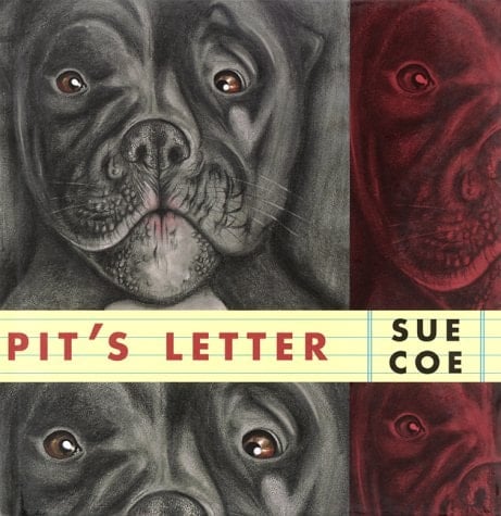 Pit's Letter