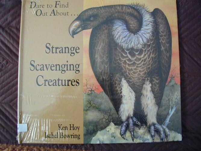 Strange Scavenging Creatures