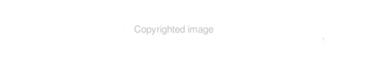 Proceedings of the 2001 ACM SIGCPR Conference April 19-21, 2001, San Diego, California
