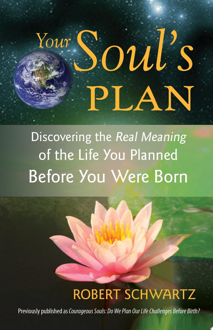 Your Soul's Plan Discovering the Real Meaning of the Life You Planned Before You Were Born