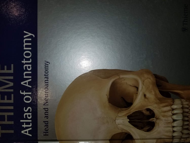 Thieme Atlas of Anatomy