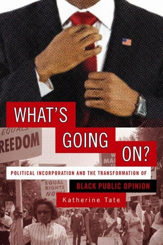 What's Going On? Political Incorporation and the Transformation of Black Public Opinion
