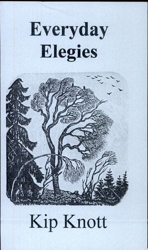 Everyday Elegies