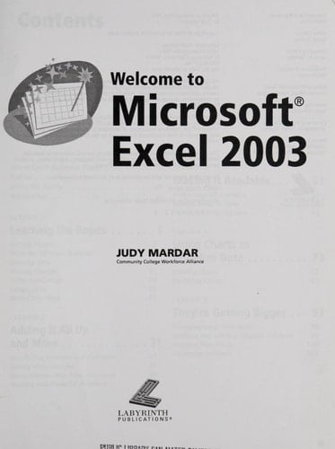 Welcome to Microsoft Excel 2003