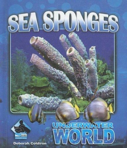 Sea sponges