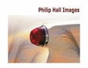 Philip Hall Images