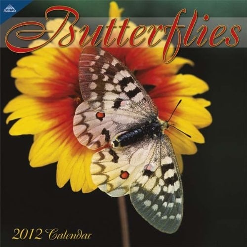 Butterflies 2012 Calendar