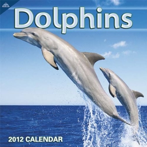 Dolphins 2012 Calendar