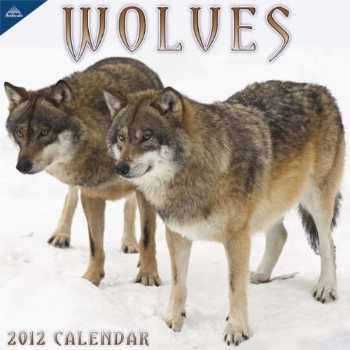 Wolves 2012 Calendar
