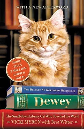 Dewey (Playaway Adult Nonfiction)