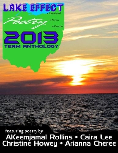 Lake Effect Poetry 2013 Team Anthology