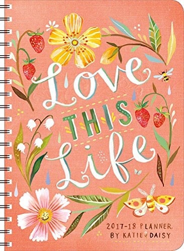 Katie Daisy 2017 – 2018 On-the-Go Weekly Planner: 17-Month Calendar with Pocket