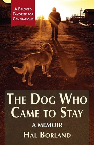 The Dog Who Came to Stay A Memoir